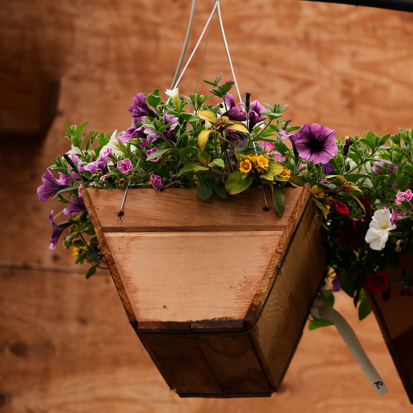Cedar Baskets