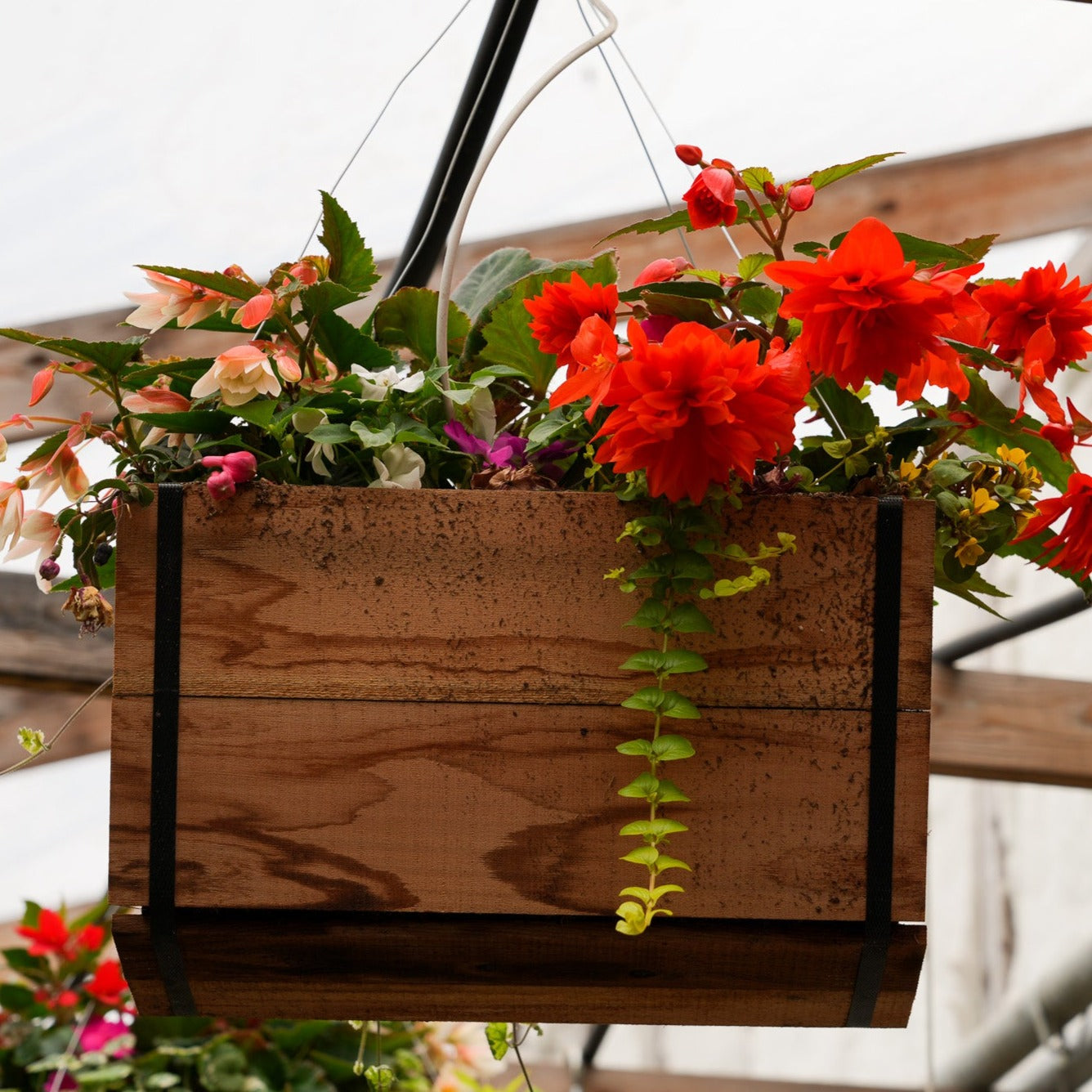Cedar Baskets