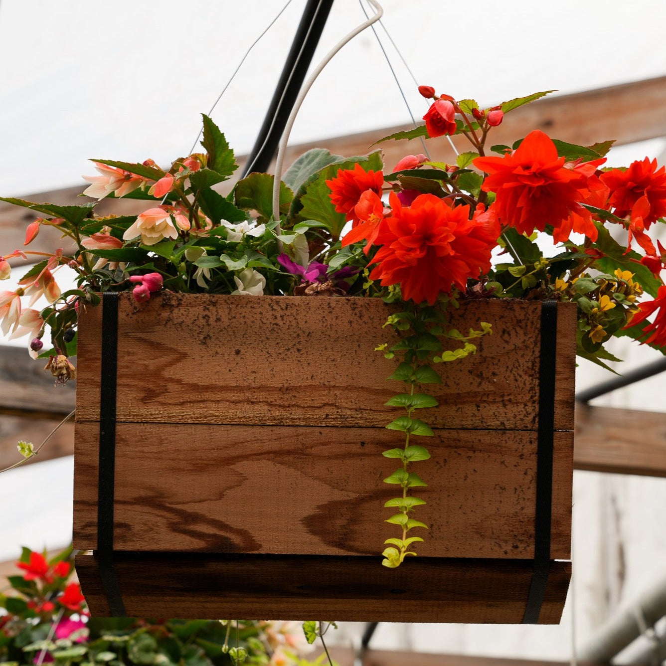 Cedar Baskets