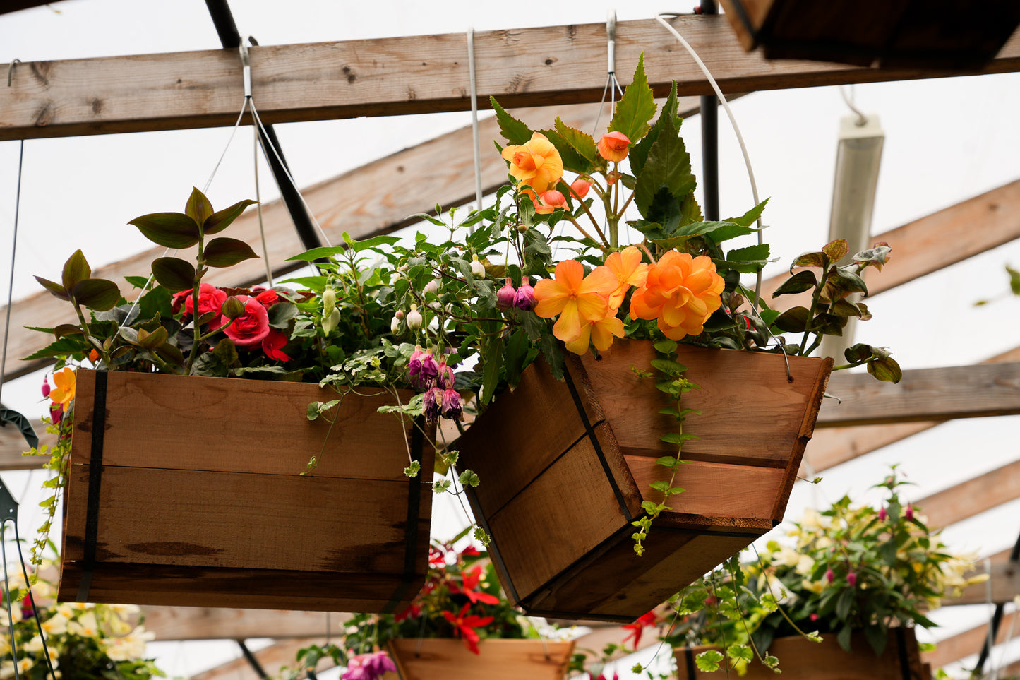 Cedar Baskets
