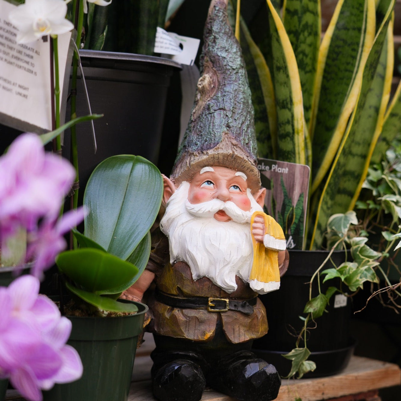 Garden Gnomes Decor
