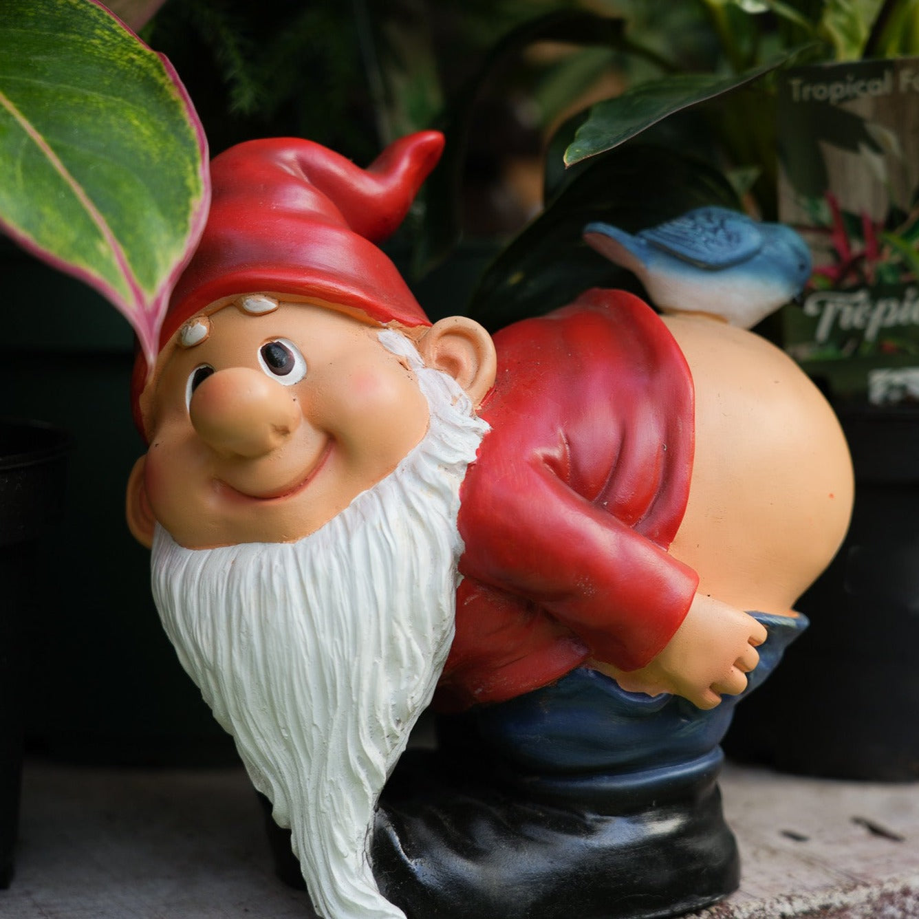 Garden Gnomes Decor