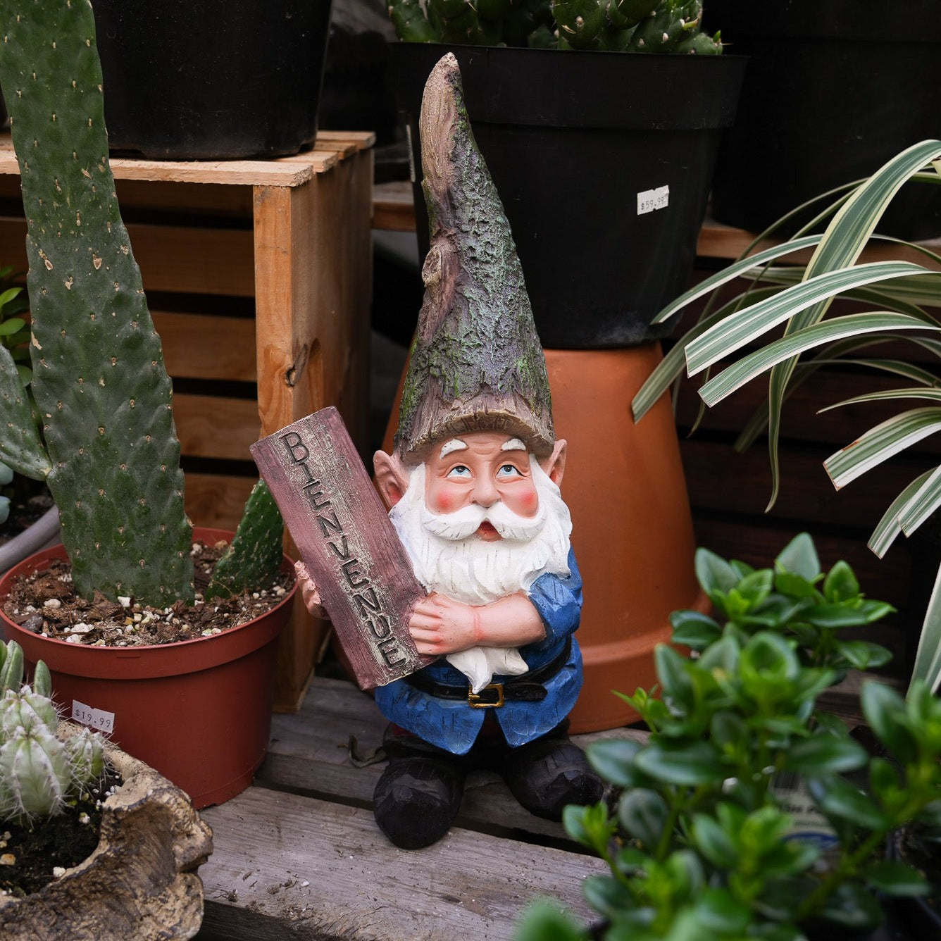 Garden Gnomes Decor