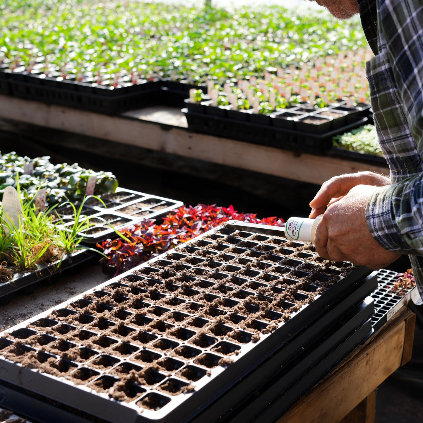 Our Greenhouse January - March 2023