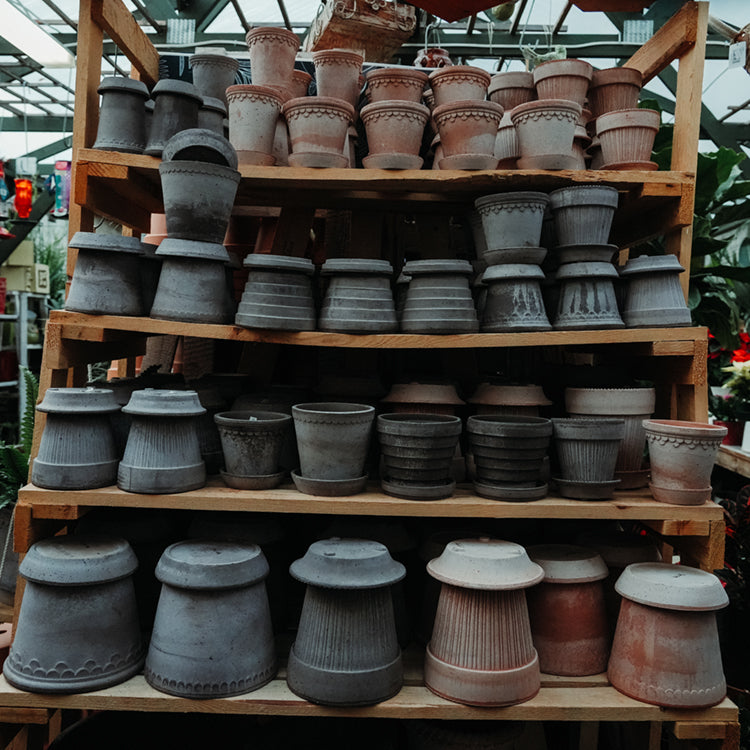 Teracota Pots