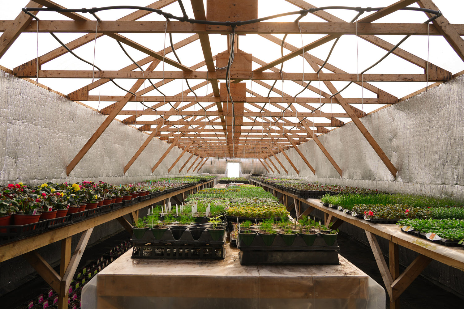 Our Story Pemberton Valley Nurseries