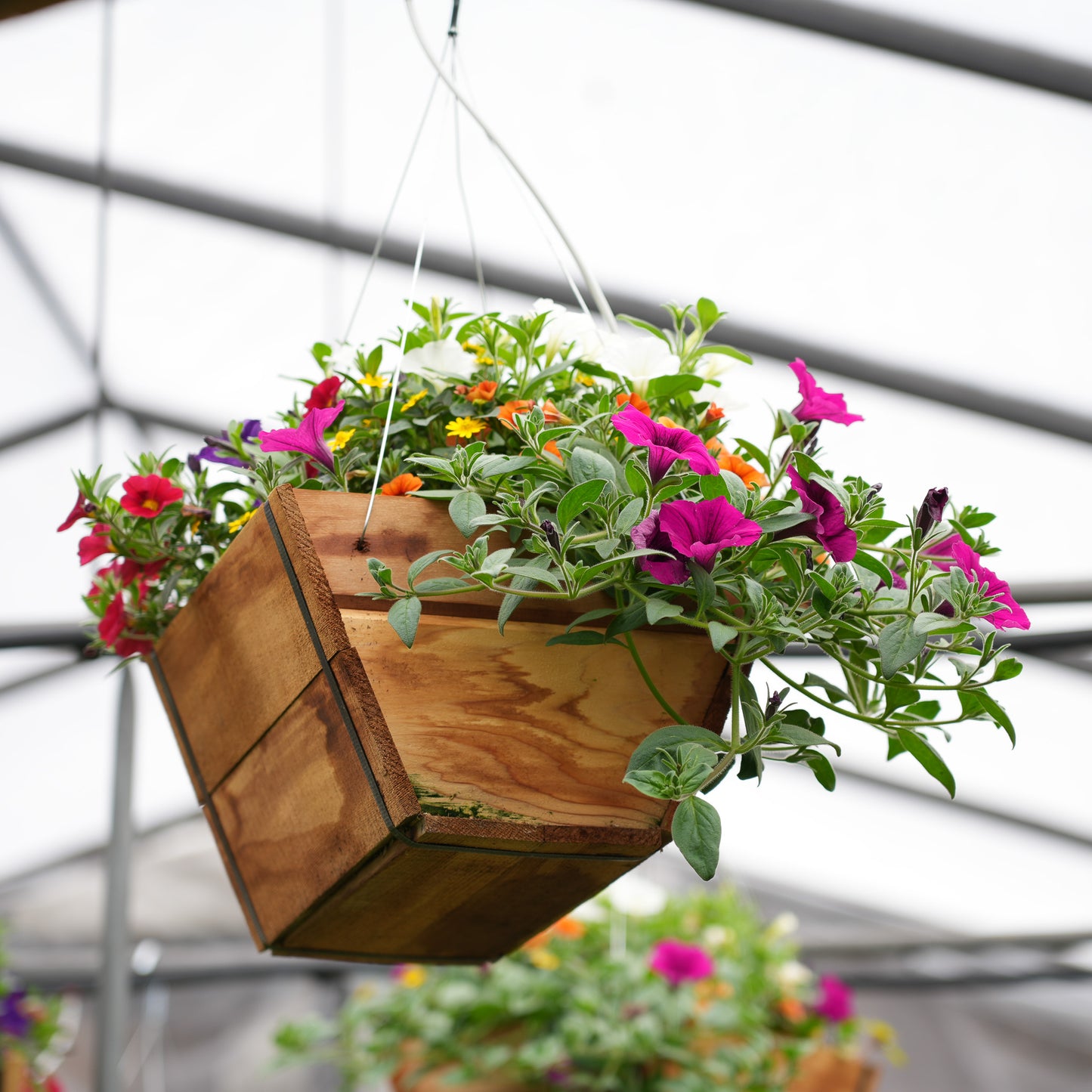Cedar Baskets