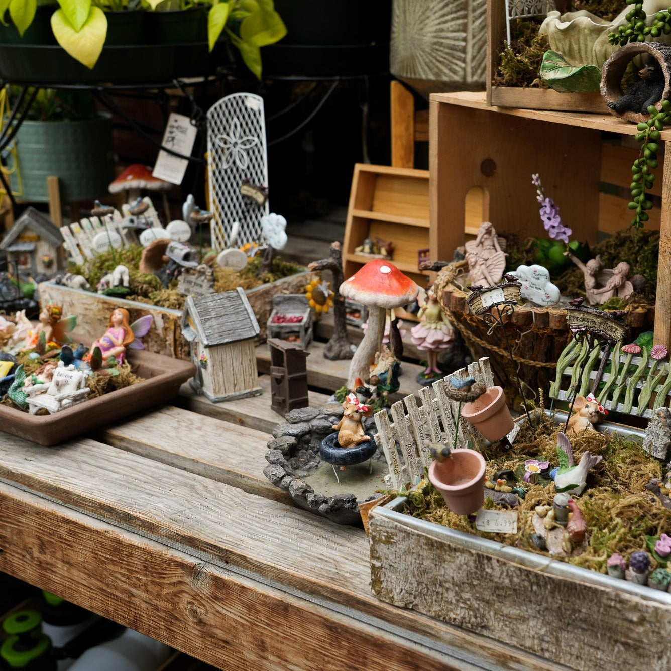Fairy Decor