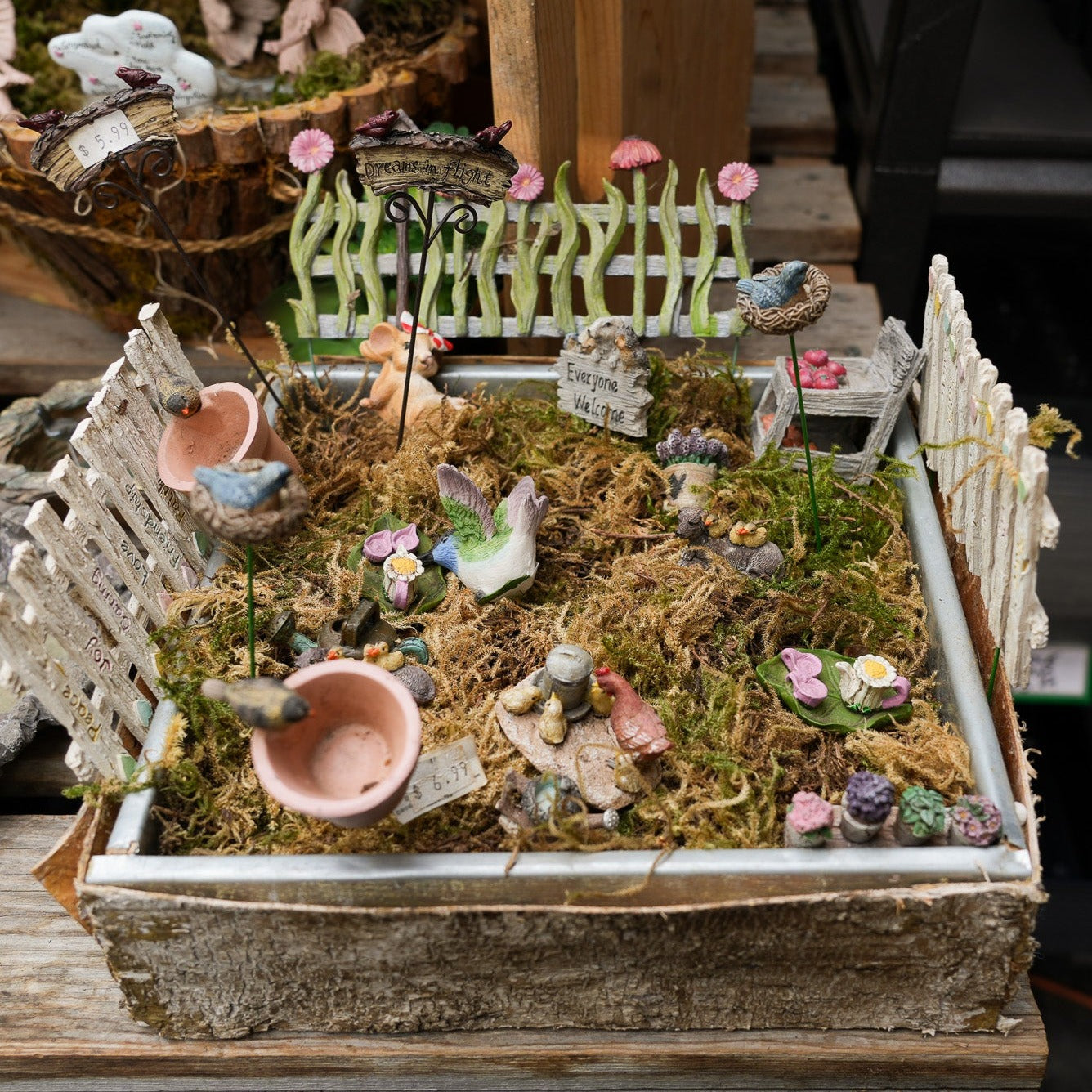 Fairy Decor