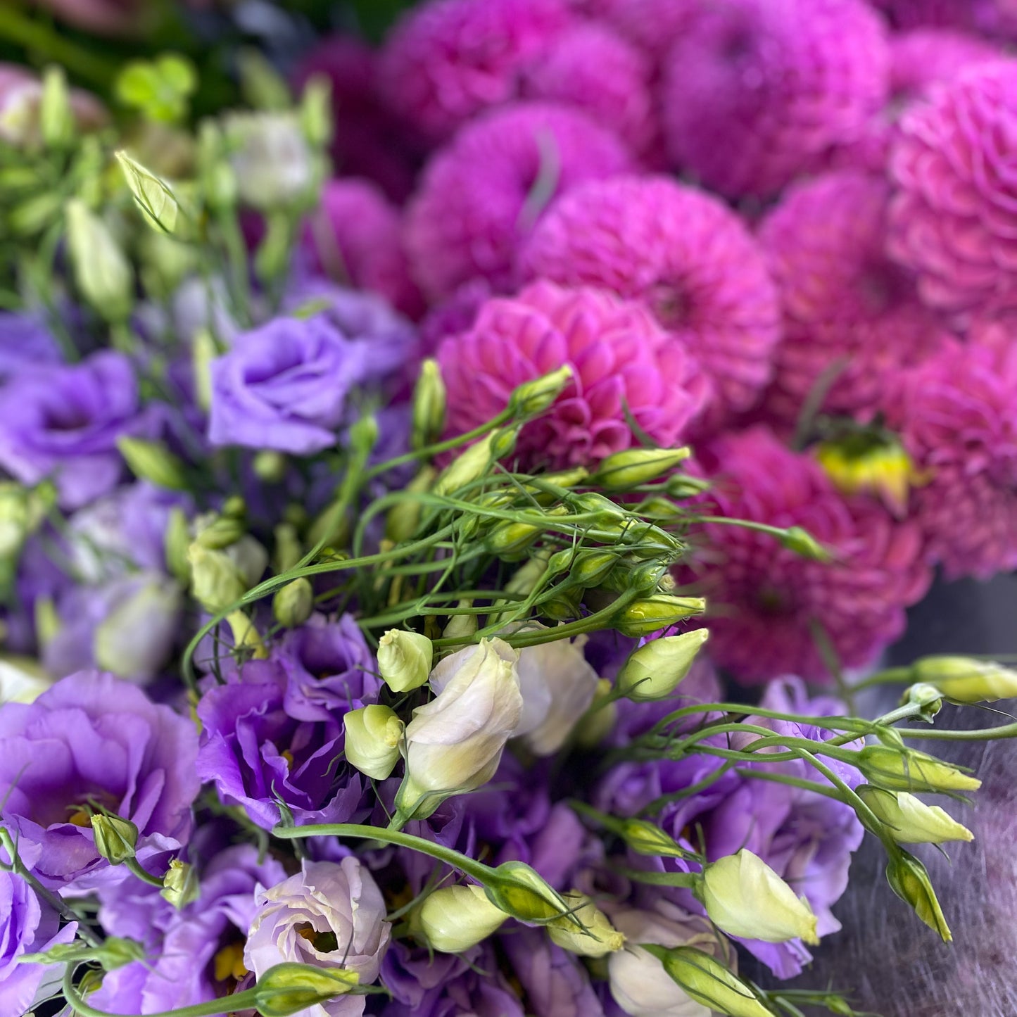Valentine's Day Flowers