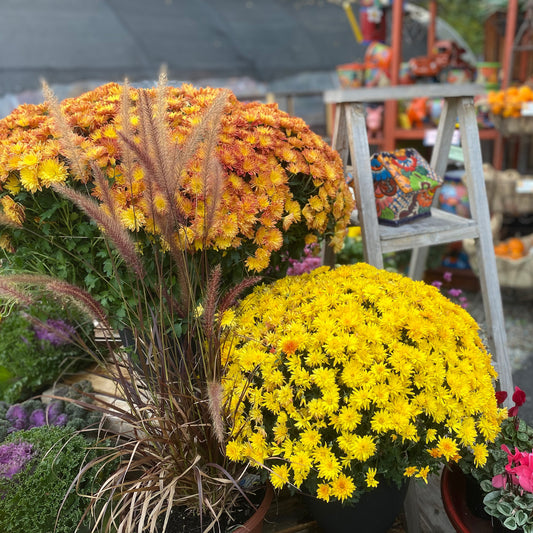 Seasonal
