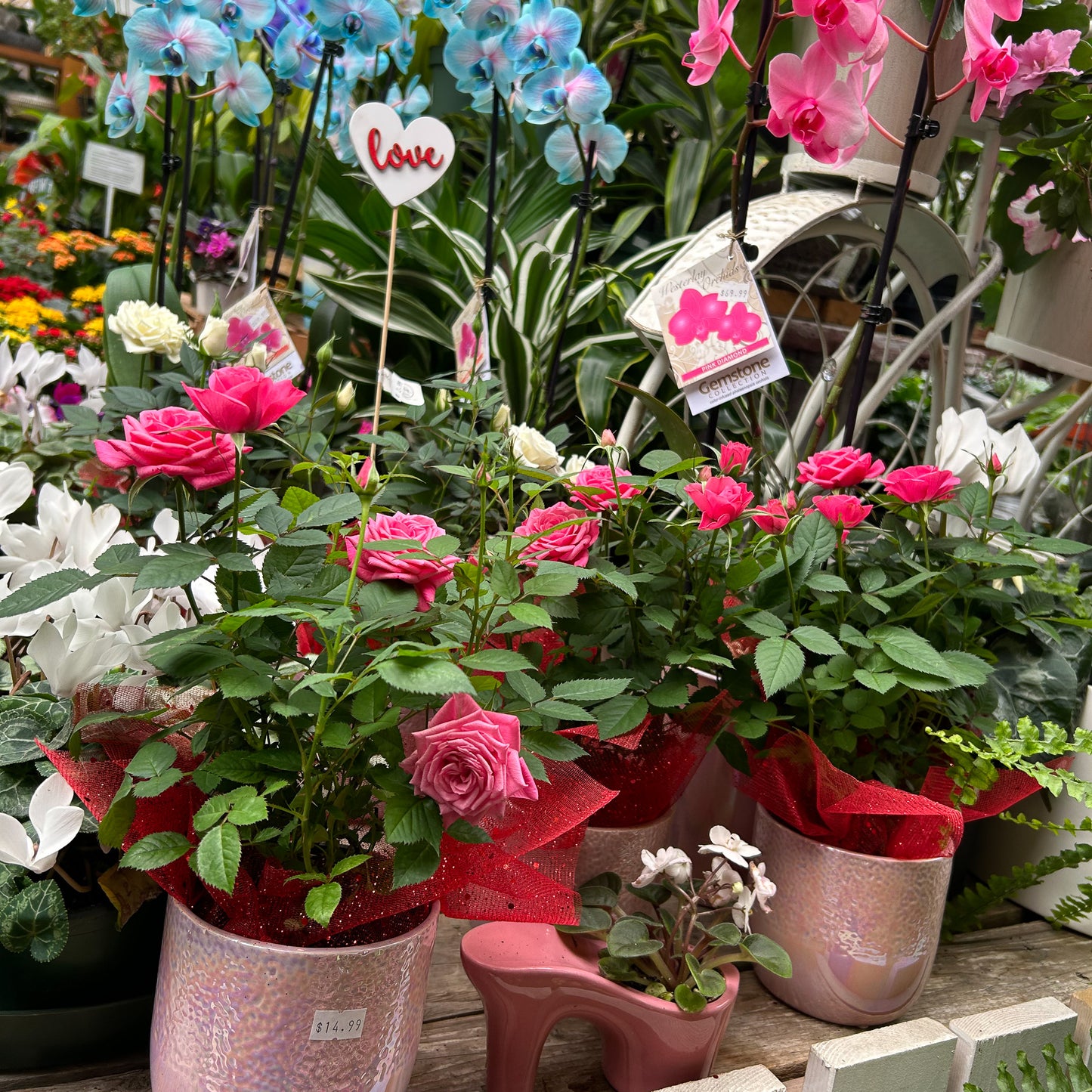 Valentine's Day Flowers