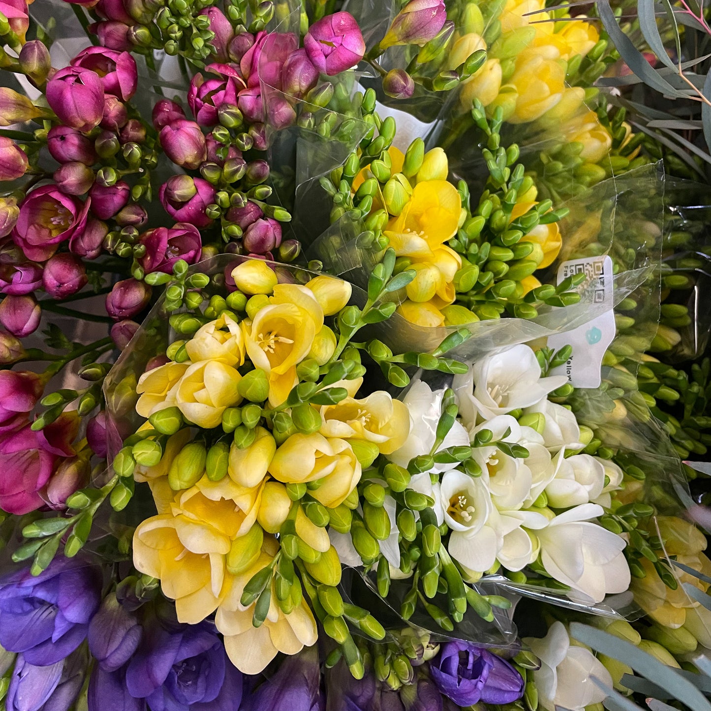 Valentine's Day Flowers