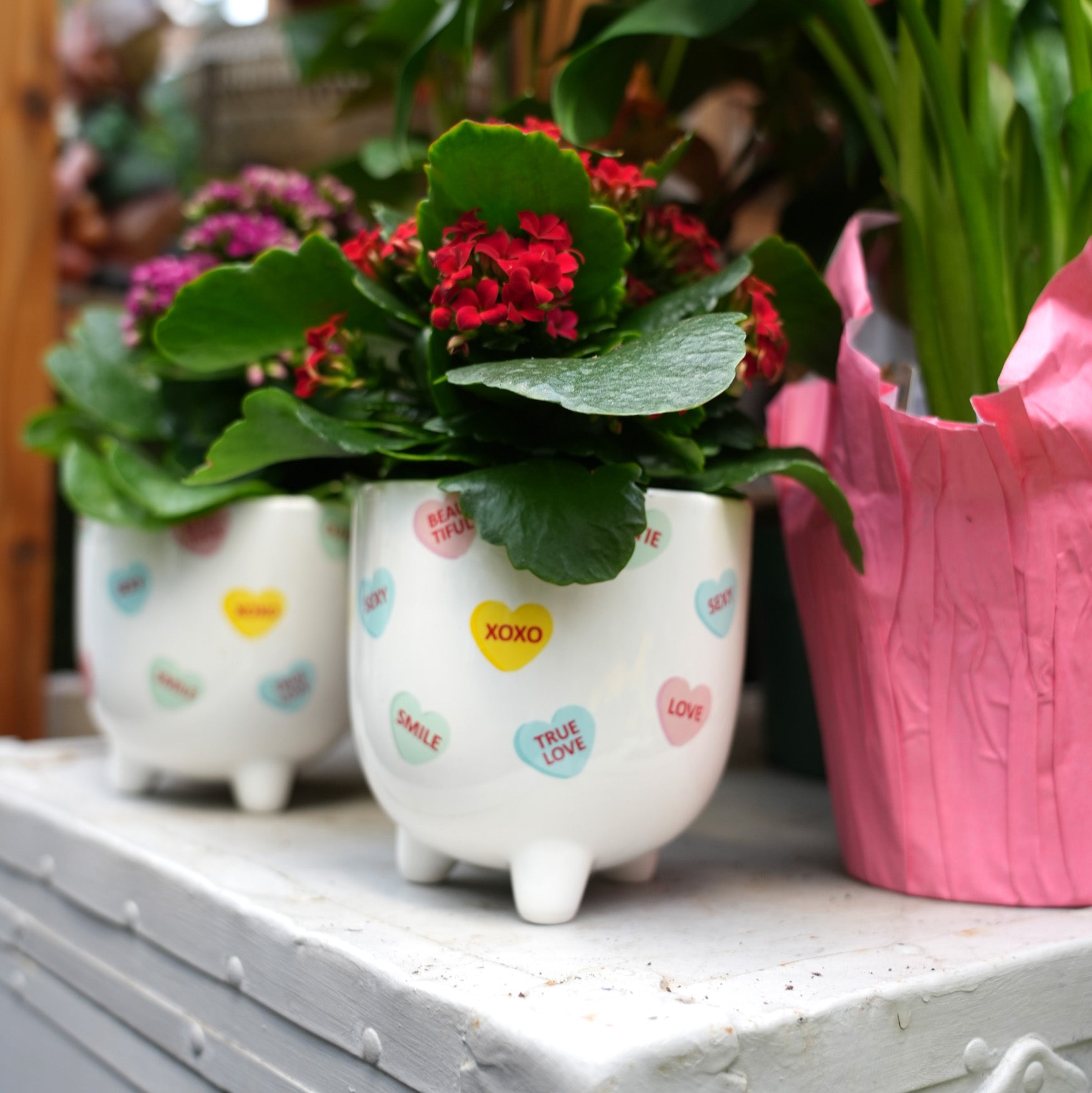 Valentines Day plant pots