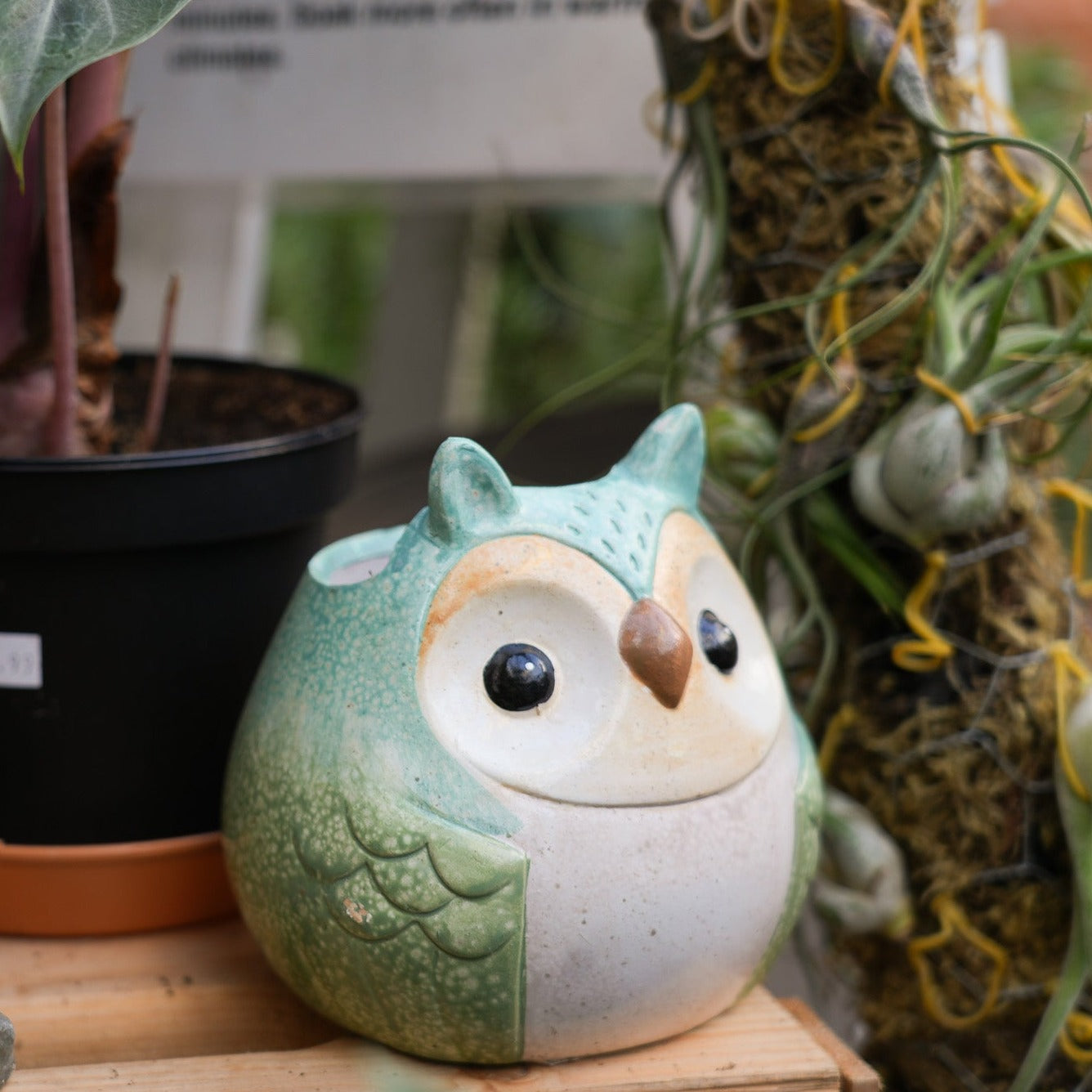 Garden Decor