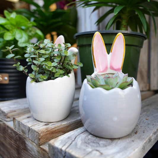 Easter Pots