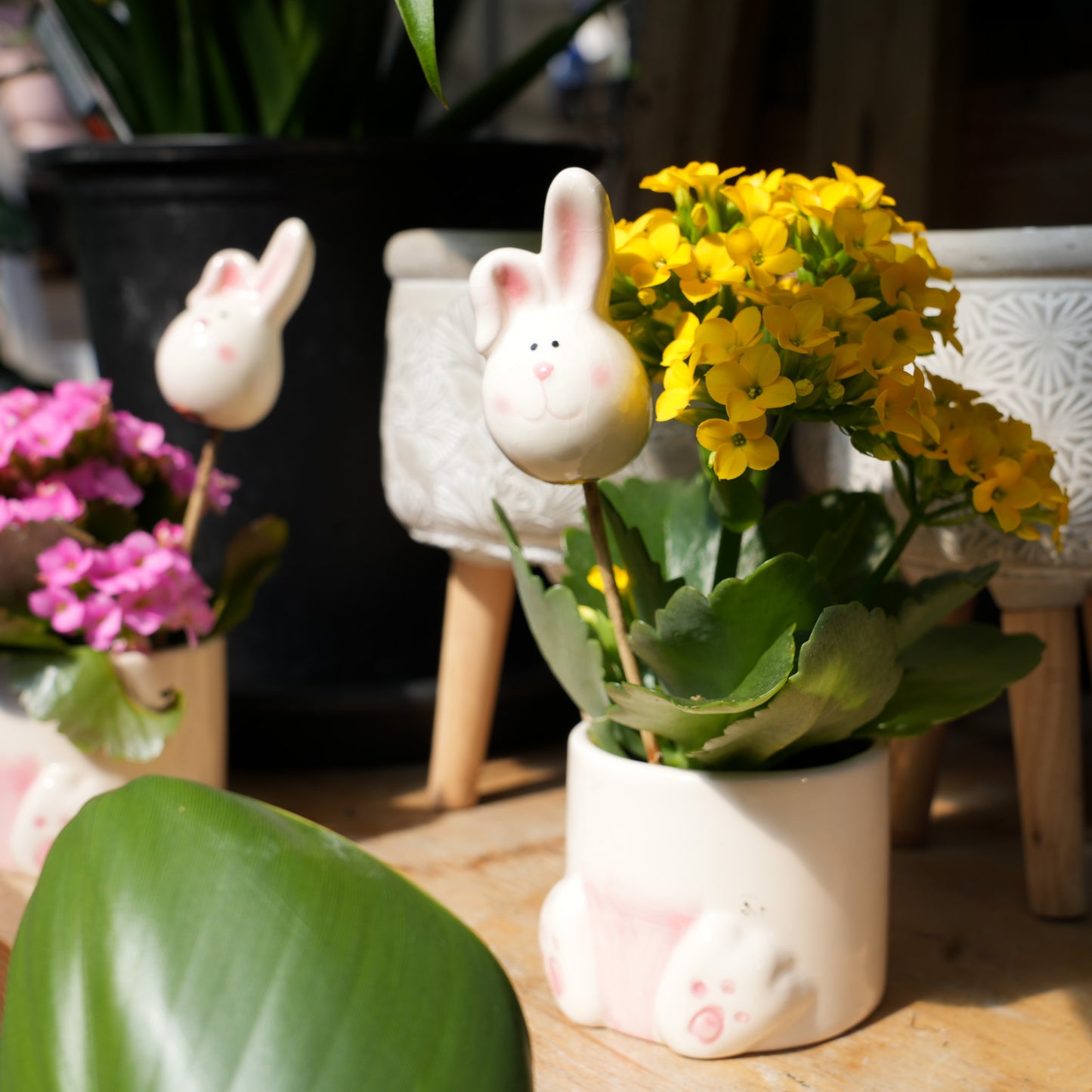 Easter Pots