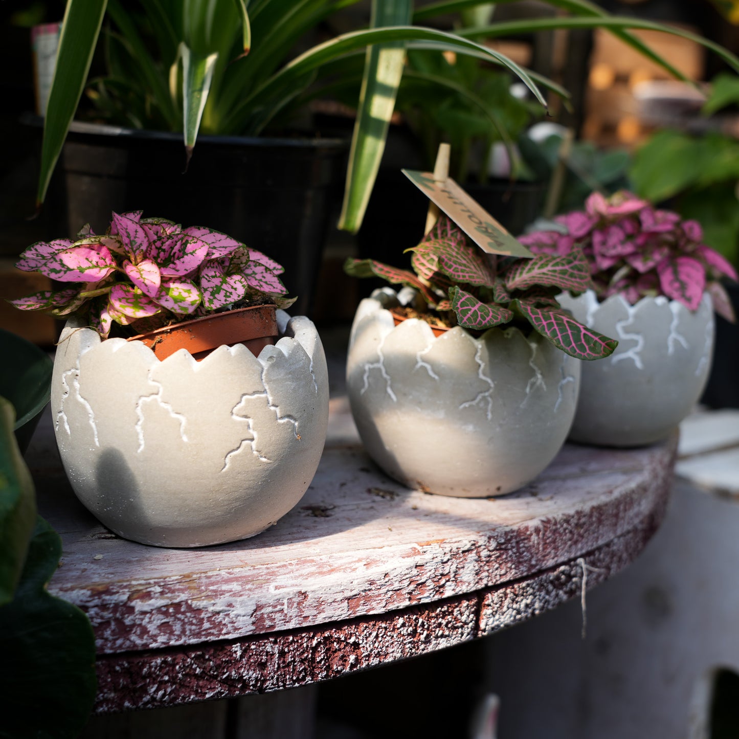 Easter Pots