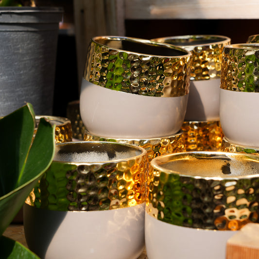 Gold Pots