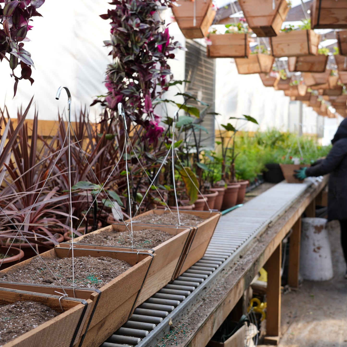 Cedar Baskets
